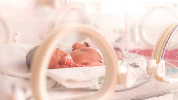 Premature newborn  baby girl in the hospital incubator after c-section in 33 week